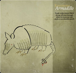 Card Armadillo.jpg