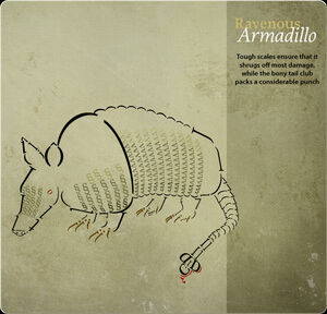 Card Armadillo