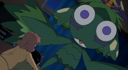 Plant keroro