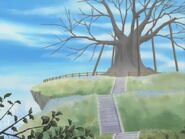 The legendary hill and cherry blossom tree from Seven of Seven as shown in Keroro episode 89.