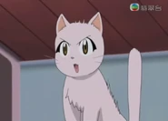 Miss Furrbotom here's Giroro's screams.png (167 KB)