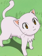 Meowmeowmeow.png (177 KB)