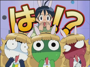 Keroro,Tamama,Giroro and Fuyuki being like Lavie.