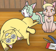Kururu transformed into a cat through Dororo's ninja training