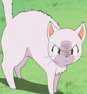 Kitten hissing.png (363 KB)