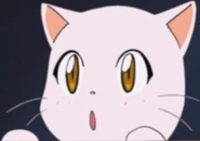 Miss Furrbotom curiously.png (103 KB)