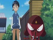 No, mail.jpg (36 KB)