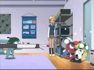 Nobibi have a gun that is Butt firecracker.