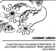 Space leach info