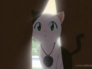 Tumblr ma3wyzESaW1rufukbo1 500.png (86 KB)