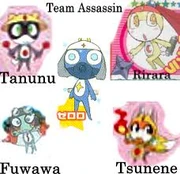 Team Assassin