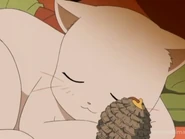 Tumblr ma3x1lXreZ1rufukbo1 500.png (124 KB)