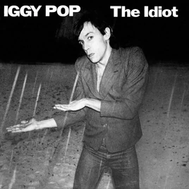 The idiot cover