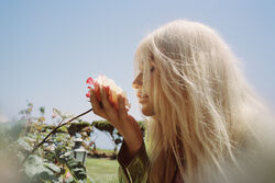 Olivia Bee | Keshapedia | Fandom