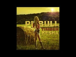 Pitbull Ke$ha Kesha Timber 12インチレコード Pitbull Ke$ha Kesha Timber 12インチレコード Timber As Recorded by