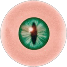 Eye (png made by @keshaswhore)