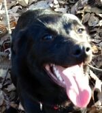 Ellie.jpg