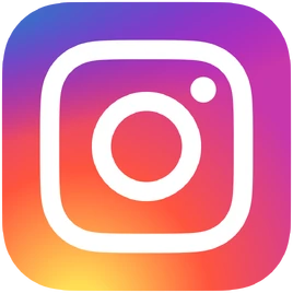 Insta logo
