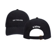 Eat the Acid Tour 2023 Dad Hat, $45