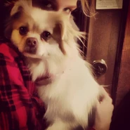 Winston 2.jpg (71 KB) Winston