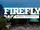 Firefly Music Festival