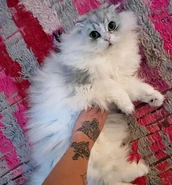 Carl 2022.jpg (214 KB) Carl