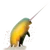 Narwhal