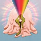 Rainbow booklet art3