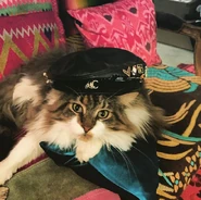 Charlie 807 2017.png (906 KB) Charlie