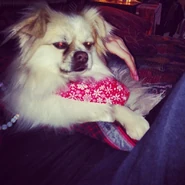 Winston 3.jpg (75 KB) Winston