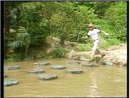 Skipping Stones