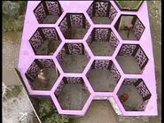 Honeycomb Maze