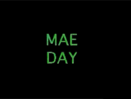 Mae Day: The Crumbling of a Documentary (1992)