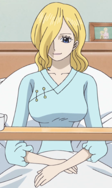 6 Facts about One Piece Vinsmoke Sora, Sanji's Kind Mother!, by Kznwebsite