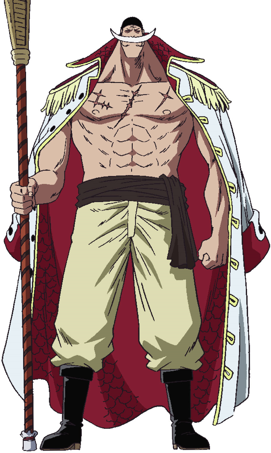 Strongest Character That Whitebeard Defeats Without the Gura Gura
