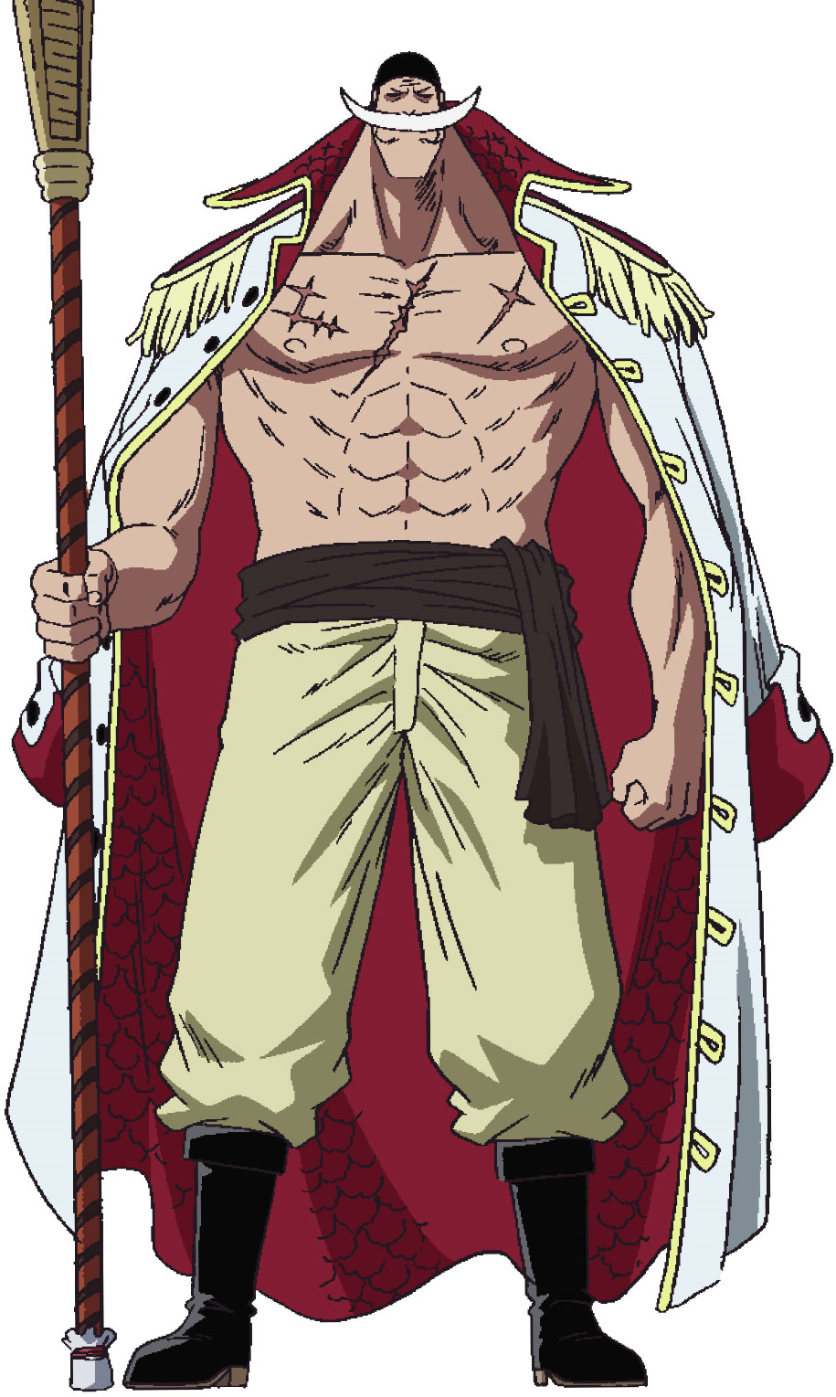 Whitebeard Japanese Bisento