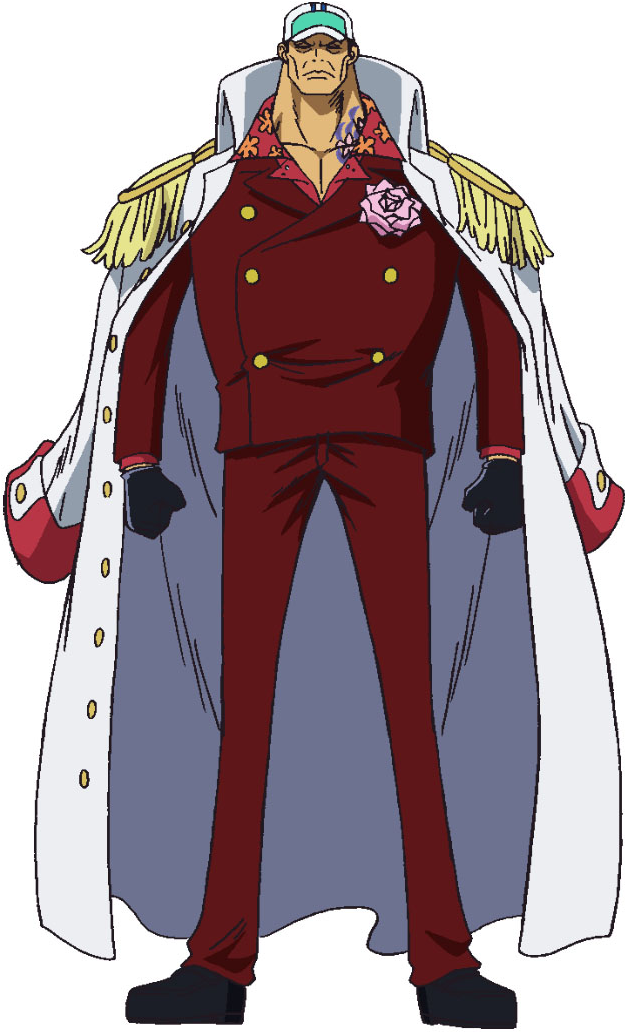 One Piece Sakazuki Navy Marine Justice White Cloak long Coat
