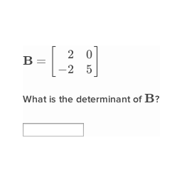 Determinant 2024 matrix 2x2