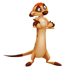 TIMON.png