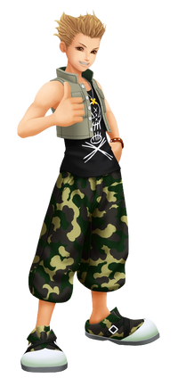 HAYNER