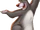 Baloo