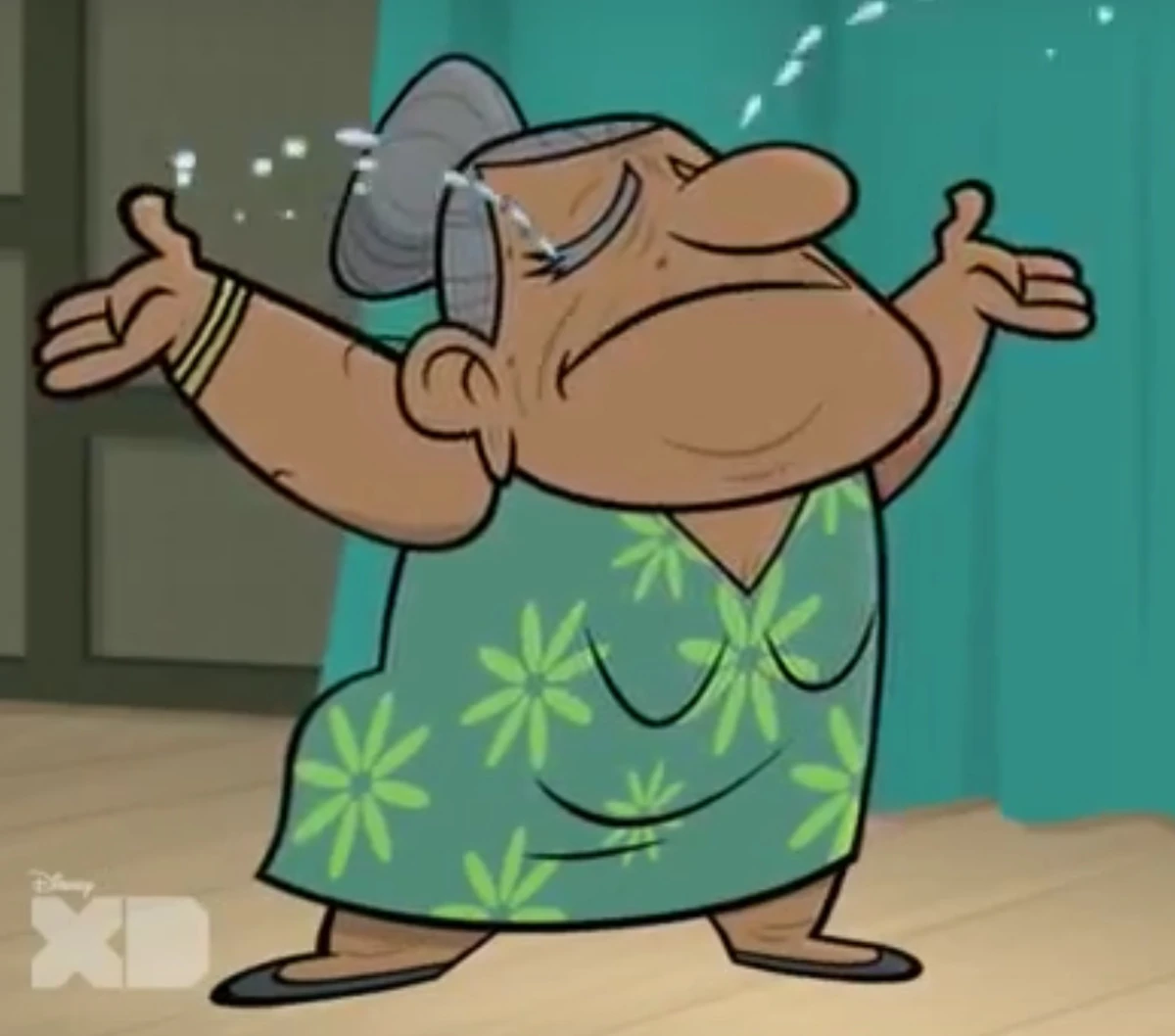 Javier's Grandmother | Kick Buttowski Wiki | Fandom