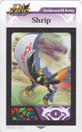 AR Card of the Shrip.