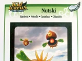 Nutski - AR Card
