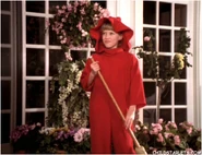 Hdcmd016.jpg (71 KB)