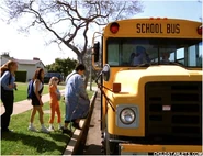 Zgmkd002.jpg (91 KB)