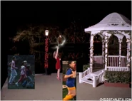 Hdcmd073.jpg (86 KB)