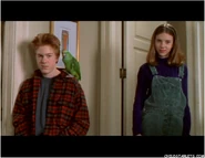 Sjhome14.jpg (97 KB)