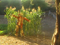 ADayatOldMacDonald'sFarm1.png