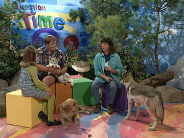 The Best Dog in the World, Kidsongs Wiki
